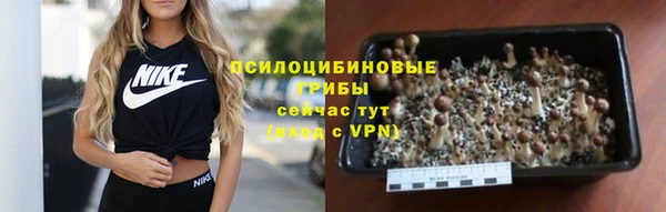 мяу мяу кристалл Заводоуковск