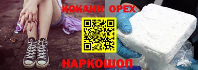 амф Гусев