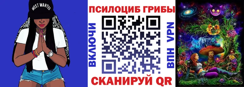 сайты даркнета как зайти  мега как войти  Звенигород  Псилоцибиновые грибы мицелий 