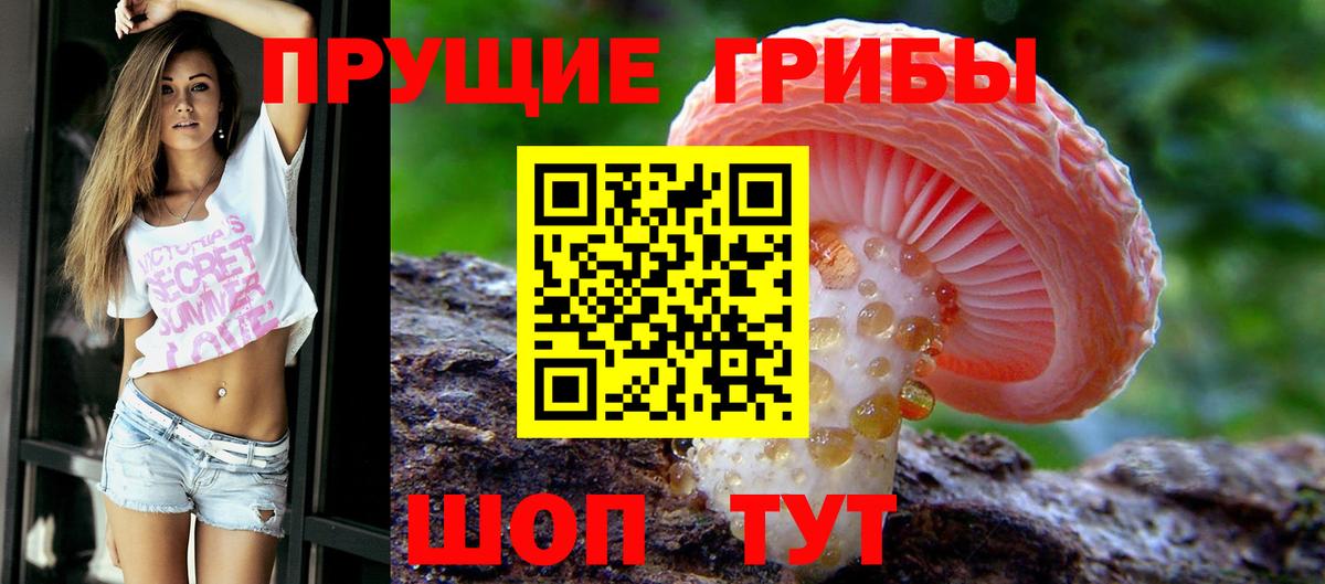 Звенигород  Галлюциногенные грибы прущие грибы  Псилоцибиновые грибы прущие грибы  Вход с VPN 