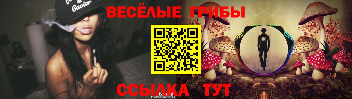 Галлюциногенные грибы мицелий Звенигород